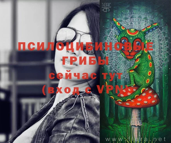 крисы Волоколамск