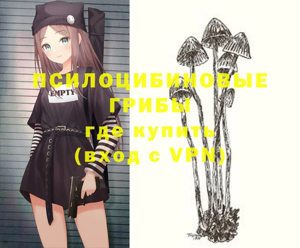 крисы Волоколамск