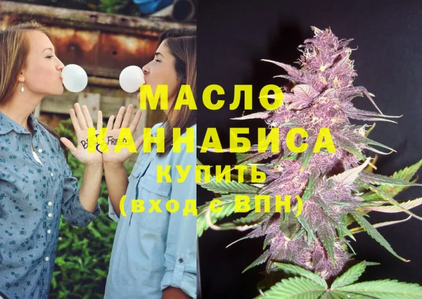 гидра Вязьма