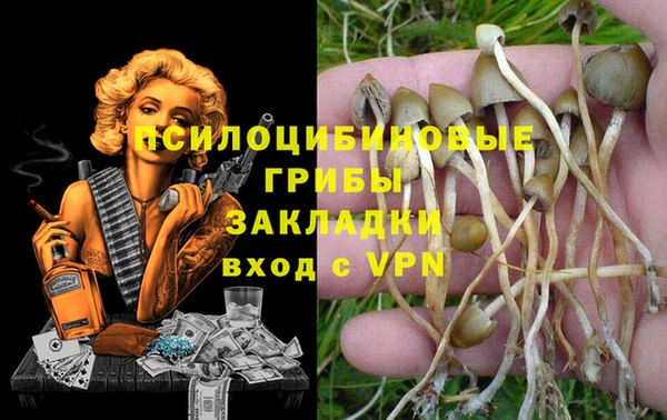 крисы Волоколамск