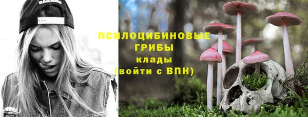 крисы Волоколамск