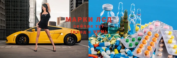 гидра Вязьма