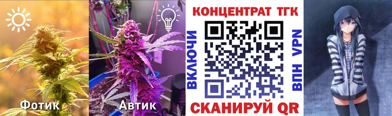 ТГК концентрат  Липки 